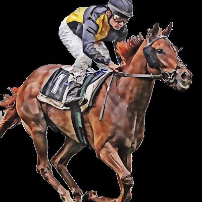 1 Bet A Day Horse Racing Advisory Service 